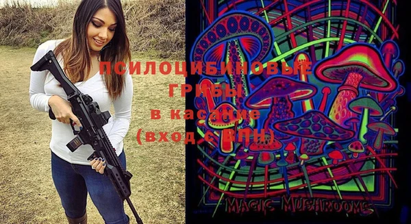 mdpv Приозерск