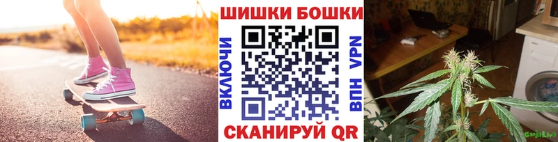 Канабис сатива  как найти наркотики  Спас-Клепики 
